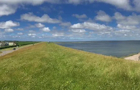 De Moerbei De Cocksdorp (Texel)