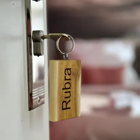 De Moerbei Nocleg ze śniadaniem De Cocksdorp (Texel)