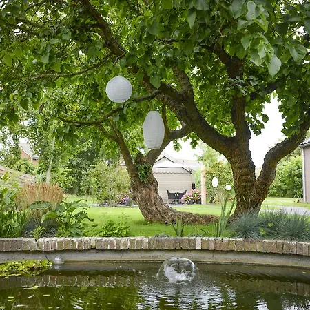 De Moerbei Nocleg ze śniadaniem De Cocksdorp (Texel)